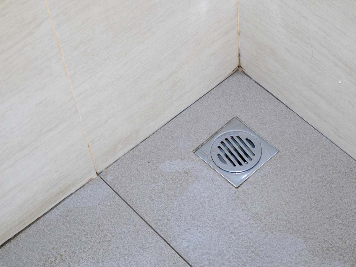 Never Ignore A Leaking Shower