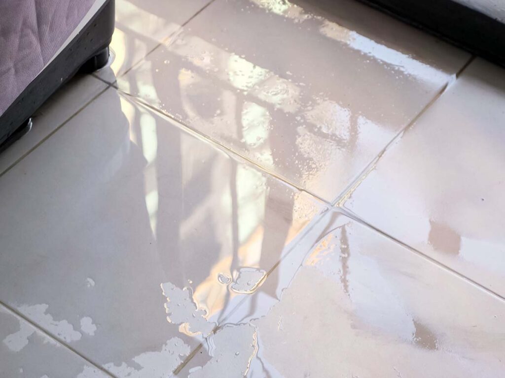 Leaking Shower Repair in Sydney Stop Leaks! Tile Regrouting