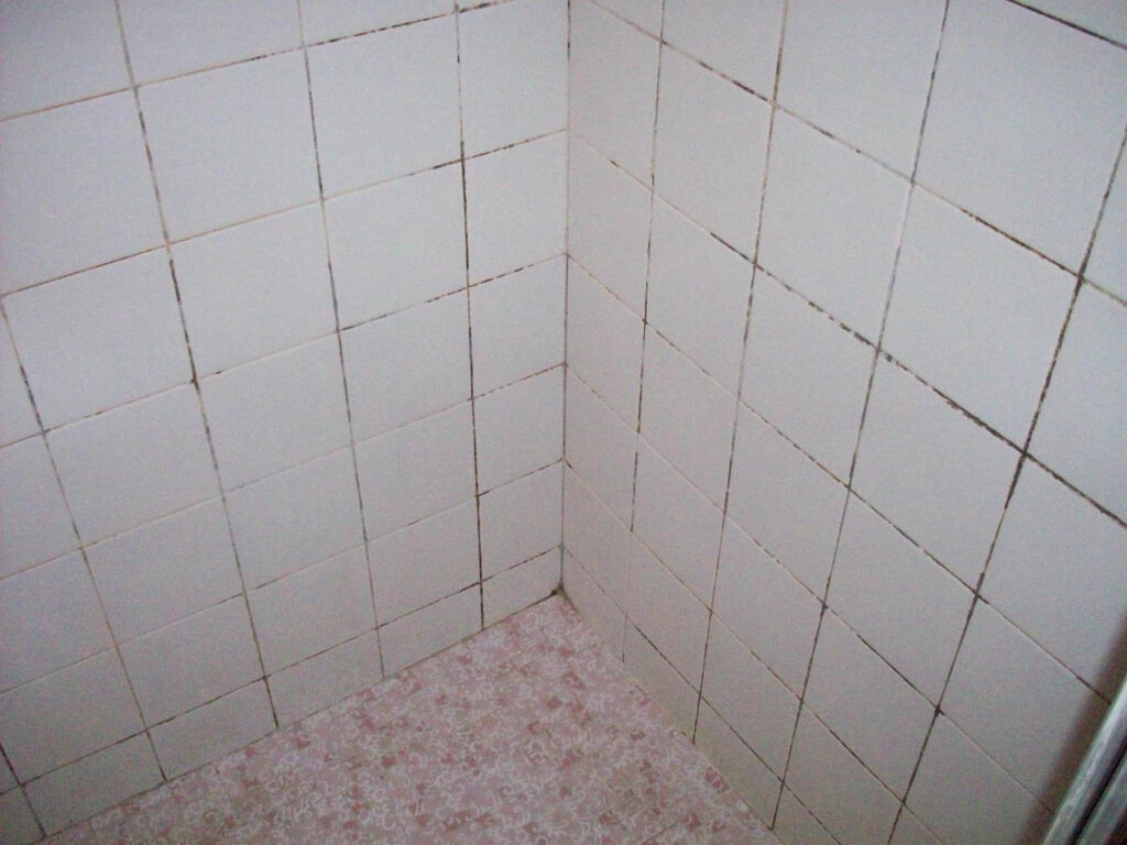 Item 7 — before